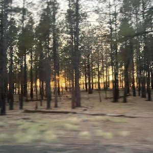 2 Hours And Forty Eight Minutes — Magnificent Album Compilation option 14