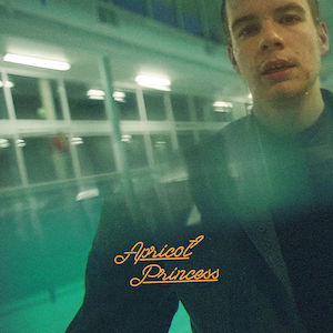 Apricot Princess — Magnificent Album Compilation option 64
