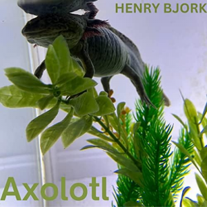 Axolotl — Magnificent Album Compilation option 81