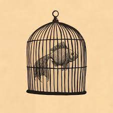 Fish In A Birdcage — Magnificent Album Compilation option 290