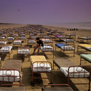 Zzzzz 1703191259momentary Lapse Of Reason — Magnificent Album Compilation option 530