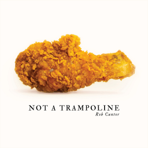 Zzzzz 1703191260not A Trampoline — Magnificent Album Compilation option 571
