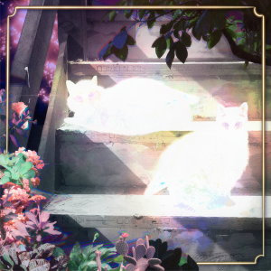 Zzzzz 1703191263retinal Bloom — Magnificent Album Compilation option 674