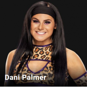 Danipalmerjpg — wwe aew women option 34