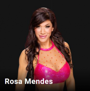Rosamendezjpg — wwe aew women option 115