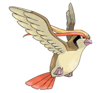Pidgeot — fully evolved flying types option 54