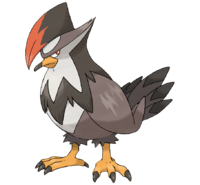 Staraptor — fully evolved flying types option 63