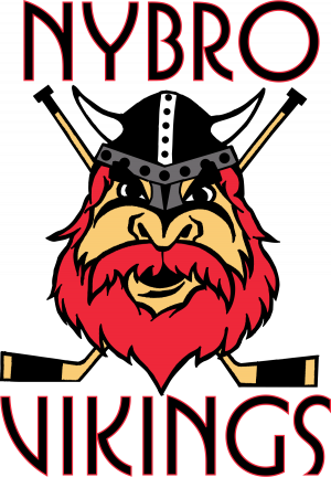 Zzzzz 1746135293nybrovikingslogosvg — Hockeyallsvenskan 25/26 option 20