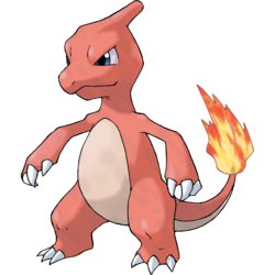 0005 Charmeleon — All Pokémon (2024) option 7