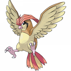 0017 Pidgeotto — All Pokémon (2024) option 26