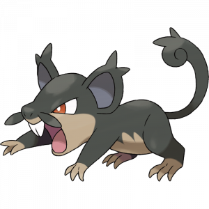 0019 Variant Alolan — All Pokémon (2024) option 30