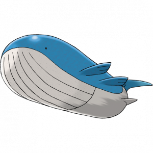 Zzzzz 17330390950321 Wailord — All Pokémon (2024) option 479