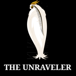 Unravelerex0 — DragonFable: Inn fights (June 2024) option 87