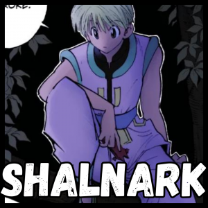 Zzzzz 171781622239 — Hunter x Hunter PowerScale Manga (old) by Oshi option 85