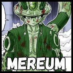 Zzzzz 171781622345 — Hunter x Hunter PowerScale Manga (old) by Oshi option 90