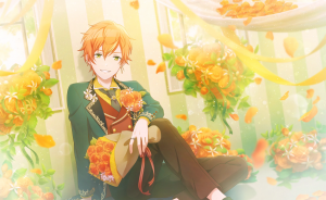 Project Sekai Akito Cards (Feb 2026) — option 17