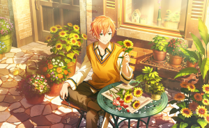 Project Sekai Akito Cards (Feb 2026) — option 28