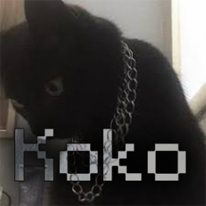 Koko — VSBD Tierlist option 28