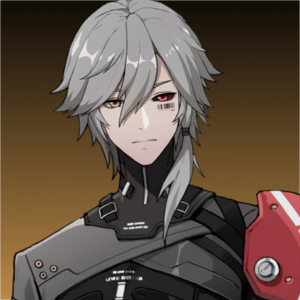 Punishing: Gray Raven Character Template - All — option 19