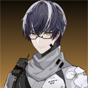 Punishing: Gray Raven Character Template - All — option 26