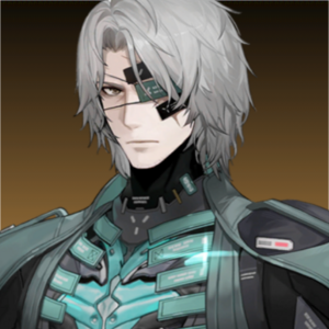 Punishing: Gray Raven Character Template - All — option 34
