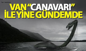 Van Canavari Ile Yine Gundemde 733 — Türkiye çocukluk travmaları v2 option 54