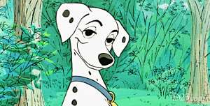 Img6488 — All Women in Every Disney Film option 51