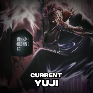 Img1029 — Jujutsu Kaisen option 15