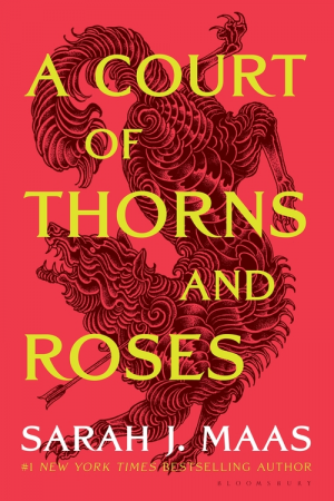 Zzzzz 1779634179a Court Of Thorns And Roses — My Books option 79