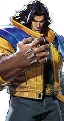 Wolverine Skin 1 Base — marvel rivals characters tier list option 53