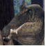 Screenshot 2025 01 06 184744 — Prior Extinction Archipelago 6-28-2025 option 8