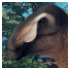 Screenshot 2025 01 06 184820 — Prior Extinction Archipelago 6-28-2025 option 5