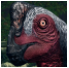 Screenshot 2025 01 06 184837 — Prior Extinction Archipelago 6-28-2025 option 6