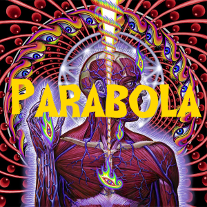 Zzzzz 1741065526toollateralus536i 1 — Every Song in the Guitar Hero Franchise option 307
