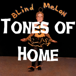Zzzzz 1741066024blindmelonblindmelon11nt — Every Song in the Guitar Hero Franchise option 745