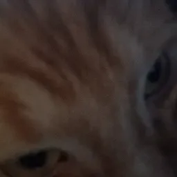 Zzzzz 1783712457ceecee — Channel 2 Discord tier list option 21