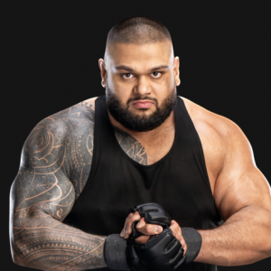 Akamprofile 12ad30953fc3a12c5996b041e010b084 — 2024 wwe roster tier list option 4