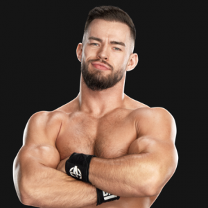 Austintheory01292024rf11986profile 619068de1cac8d4d6351f5c277e53f80 — 2024 wwe roster tier list option 18