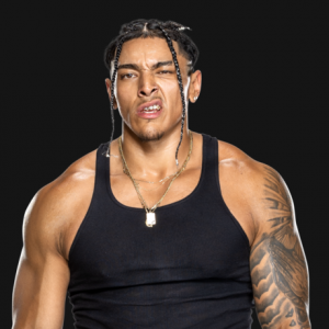 Bronconimaprofile 202bbd77e17b0c41967e8a2a66870412 1 — 2024 wwe roster tier list option 34