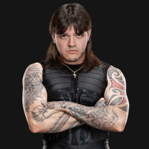 Mysterio07252023mp142profile E6c9dde99d9bf8c8664e67d6c736e6d2 1 — 2024 wwe roster tier list option 61