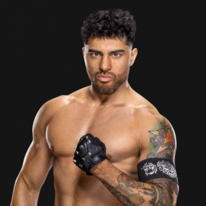 Zzzzz 1724189516joaquinwildeprofile 5774722603ceee6773046dfa9dd8c9cc 1 — 2024 wwe roster tier list option 100