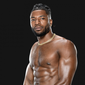 Zzzzz 1724189858trickwilliamsprofile 46d10050ee918ffb54a75508c4084187 1 — 2024 wwe roster tier list option 203