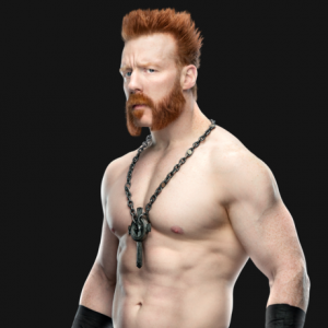 Zzzzz 172418985969640sheamus12202019rf056profile E78f54cfb27b1ded3e1663a36ddc3175 1 — 2024 wwe roster tier list option 181