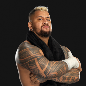 Zzzzz 1724189859solosikoa01282024rf3720profile 7203c3d3f57c02452a2db469cf68d1d2 1 — 2024 wwe roster tier list option 185