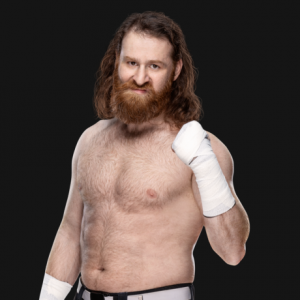 Zzzzz 1724189860samizaynprofile 4f993ee786bf3de7f75d3290db9d0aab 2 — 2024 wwe roster tier list option 173