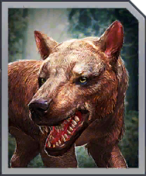 Amphicyon — criaturas de la prehistoria option 32