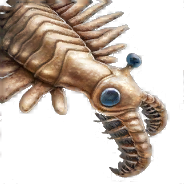 Anomalocaris — criaturas de la prehistoria option 175