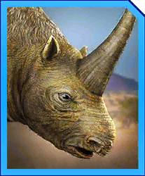 Elasmotherium — criaturas de la prehistoria option 80