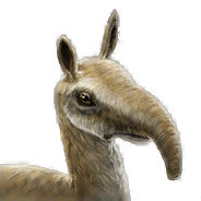 Macrauchenia — criaturas de la prehistoria option 190