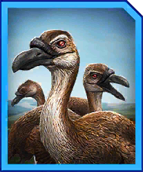 Rodriguessolitaire — criaturas de la prehistoria option 87